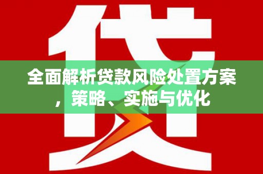 遂川全面解析贷款风险处置方案，策略、实施与优化