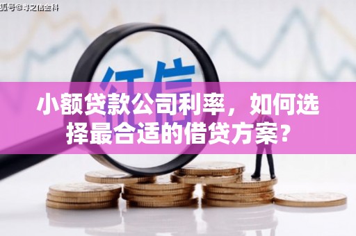 遂川小额贷款公司利率，如何选择最合适的借贷方案？