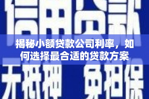 遂川揭秘小额贷款公司利率，如何选择最合适的贷款方案