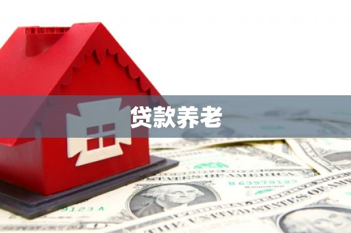 遂川贷款养老