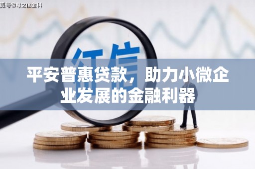 遂川平安普惠贷款，助力小微企业发展的金融利器