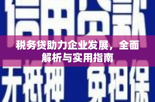 遂川税务贷助力企业发展，全面解析与实用指南