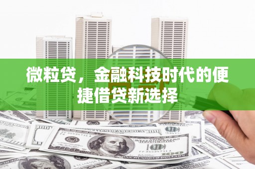 遂川微粒贷，金融科技时代的便捷借贷新选择