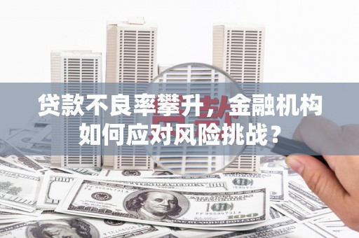 遂川贷款不良率攀升，金融机构如何应对风险挑战？