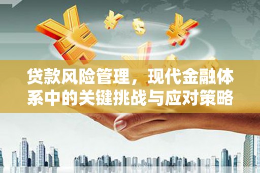 遂川贷款风险管理，现代金融体系中的关键挑战与应对策略