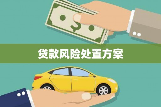 遂川贷款风险处置方案