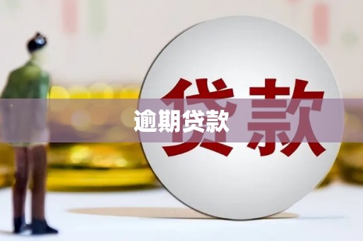 遂川逾期贷款