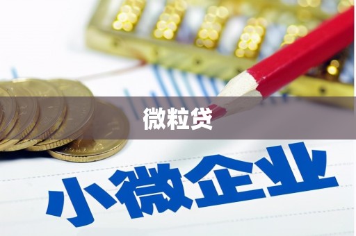遂川微粒贷