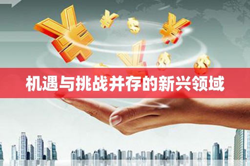 遂川机遇与挑战并存的新兴领域