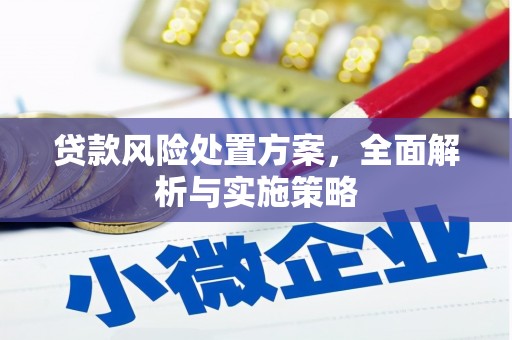 遂川贷款风险处置方案，全面解析与实施策略